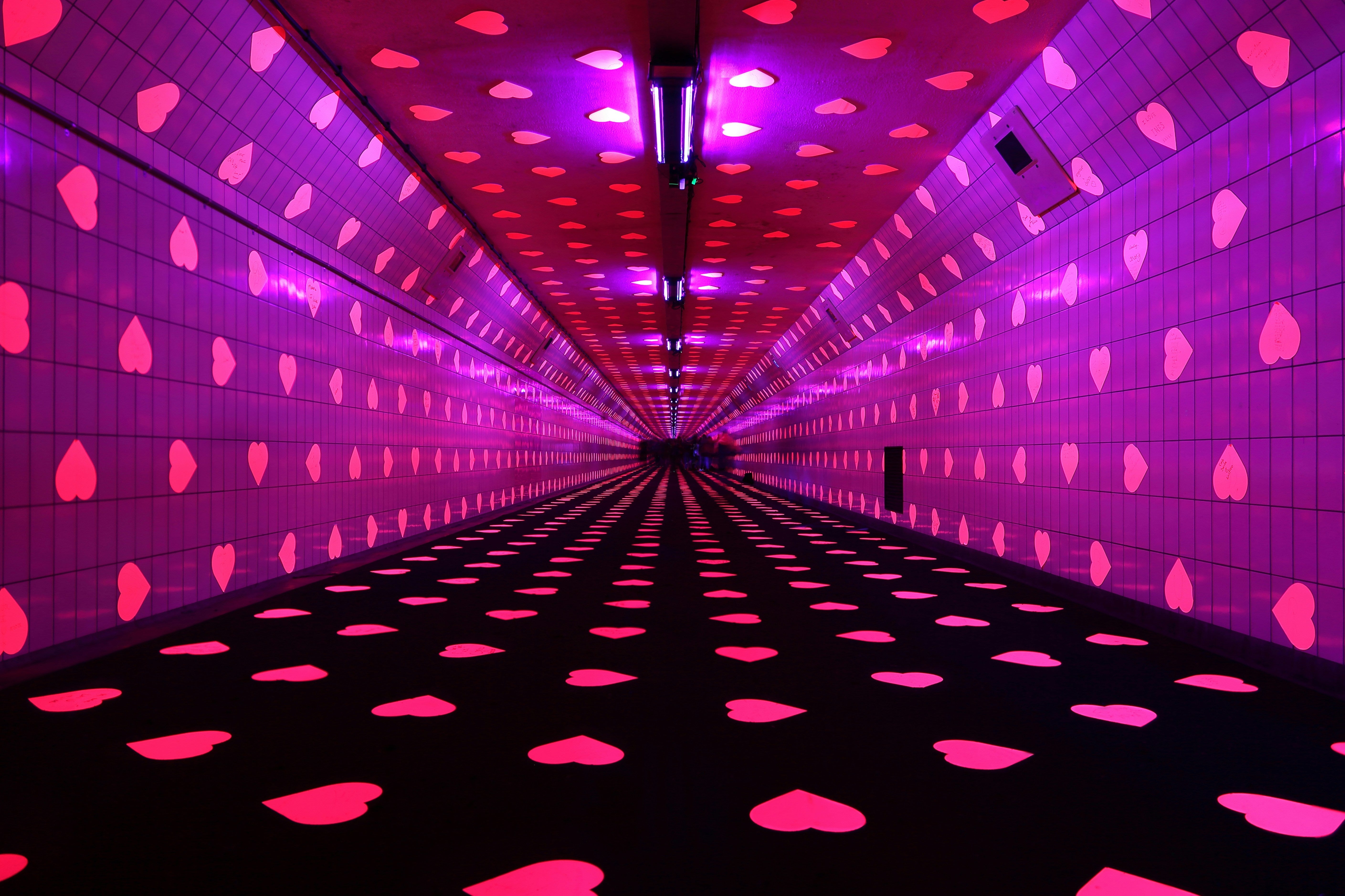 COLOR LED LIGHTS - Worldwide Electric Supplies