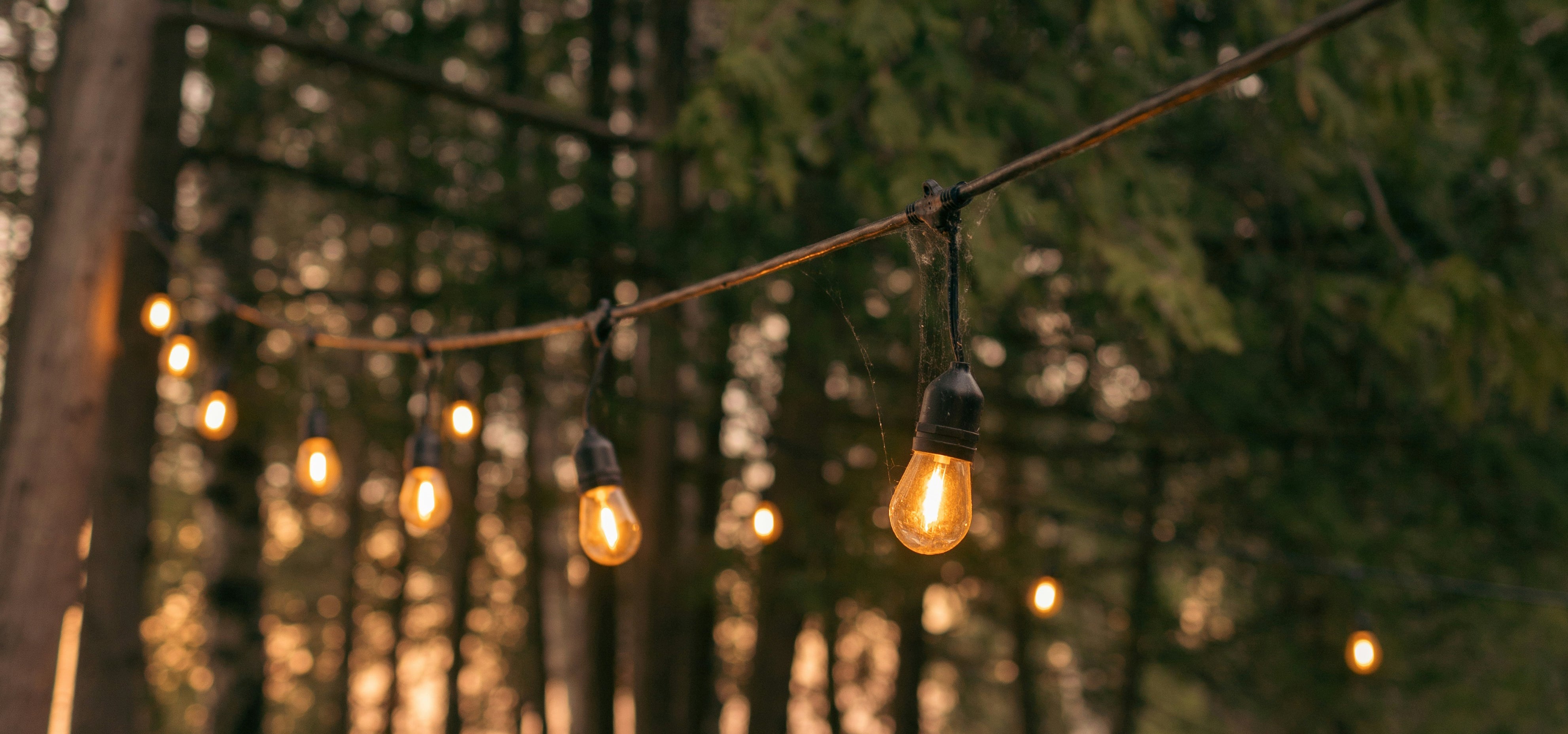 STRING LED LIGHTS - Worldwide Electric Supplies