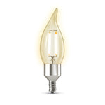 Clear LED light bulb on a white background