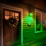 4.5W A19 Green Filament LED Filament Light Bulb - Worldwide Electric Supplies