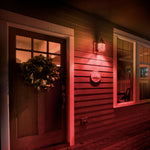 4.5W A19 Red Filament LED Filament Light Bulb - Worldwide Electric Supplies