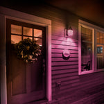 4.5W Clear Glass Pink A19 Dimmable LED Filament Light Bulb - Worldwide Electric Supplies
