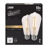 5.5W (60W Replacement) ST19 E26 Dimmable Straight Filament Clear Glass Vintage Edison LED Light Bulb, Warm Light - Worldwide Electric Supplies