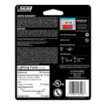 8.3W (60W Replacement) Daylight (5000K) E12 Base A15 Filament LED (2 - Pack) - Worldwide Electric Supplies