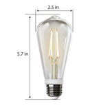8.8W (60W Replacement) Soft White (2700K) E26 Base ST19 Motion Detection Filament LED - Worldwide Electric Supplies