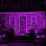 A19 Purple Filament LED Filament Light Bulb - Worldwide Electric Supplies