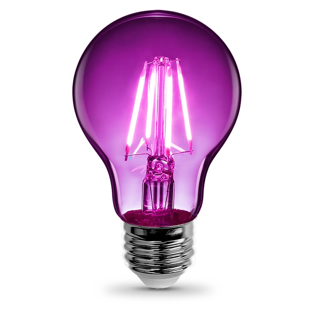 A19 Purple Filament LED Filament Light Bulb - Worldwide Electric Supplies