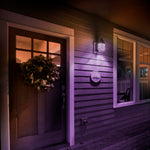 A19 Purple Filament LED Filament Light Bulb - Worldwide Electric Supplies