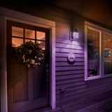 A19 Purple Filament LED Filament Light Bulb - Worldwide Electric Supplies